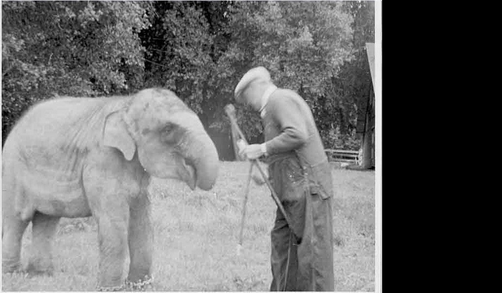 Whittell walking the grounds with Mingo the elephant