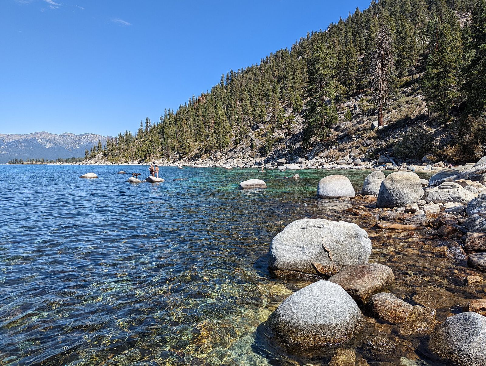 A paddleboarder on clear water beneath the forested east shore